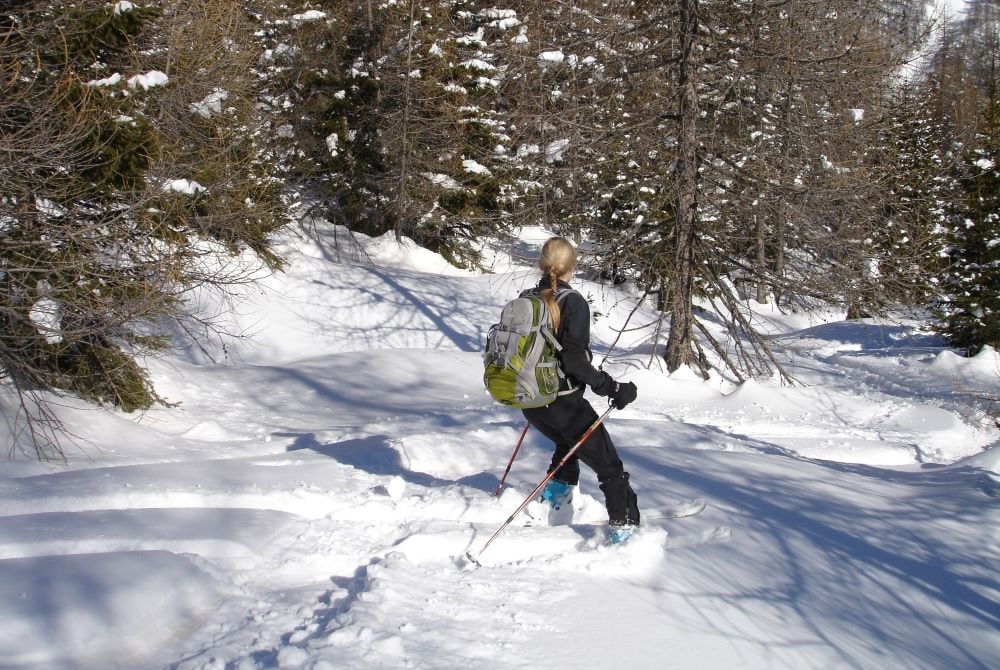 Guía para esquiadores sobre diferentes tipos de nieve (y cómo se ven 🌨)