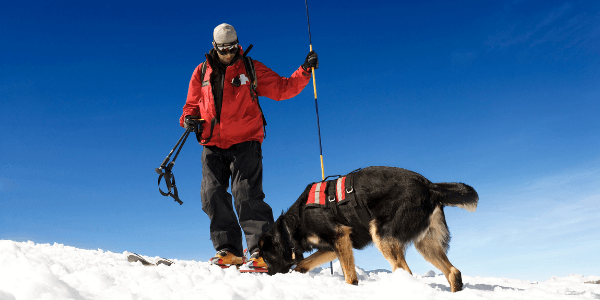 ¿Cómo convertirse en patrullero de esquí? (5 consejos que debes saber)