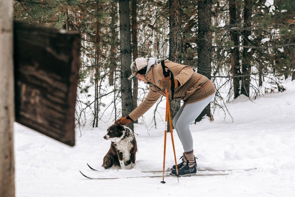 Los 10 mejores destinos de esquí con alojamiento que admite mascotas en EE. UU.