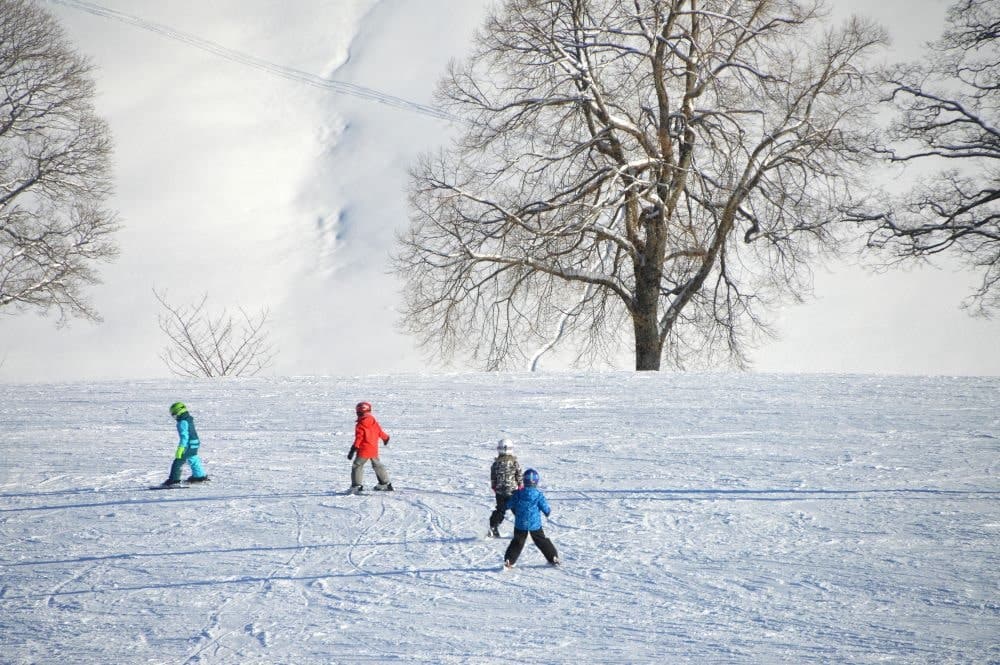 Diferencias clave entre esquís para adultos y niños (¿cuándo es el momento de actualizarlos?)