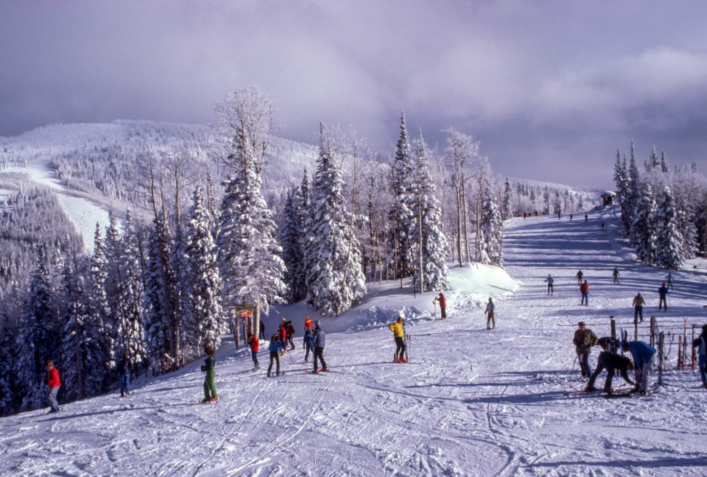 Las principales diferencias entre CADA esquí (13 tipos)